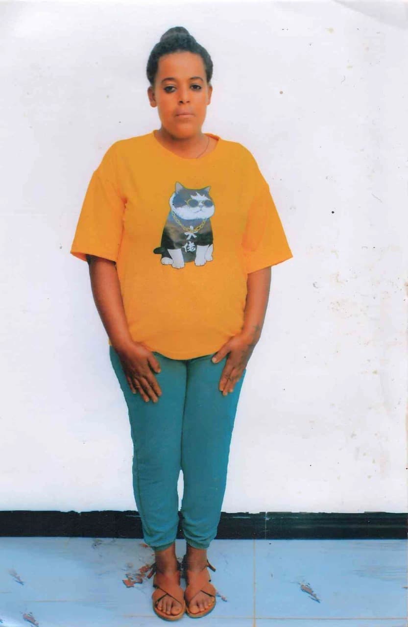 slide-2, عاملة منزلية , إثيوبيا , تنظيف المنزل , جليسة أطفال , كى الملابس