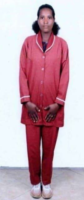 slide-2, عاملة منزلية , إثيوبيا , تنظيف المنزل , جليسة أطفال , كى الملابس