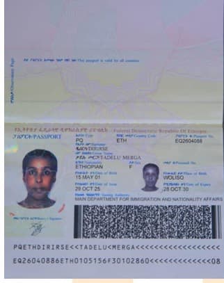 slide-2, عاملة منزلية , إثيوبيا , تنظيف المنزل , كى الملابس , غسيل الملابس